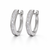 Luxe Princess Hoops