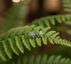 Celestia Spark Star Studs