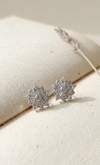Celeste Star Spark Studs
