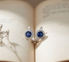 Kids blue Earrings ✨