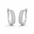 Stellar Cluster Hoops