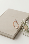 The Heirloom Highlight