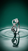 TwinHeart Infinity