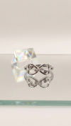 TwinHeart Infinity