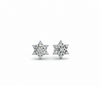 Celestia Spark Star Studs