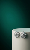 Celeste Star Spark Studs